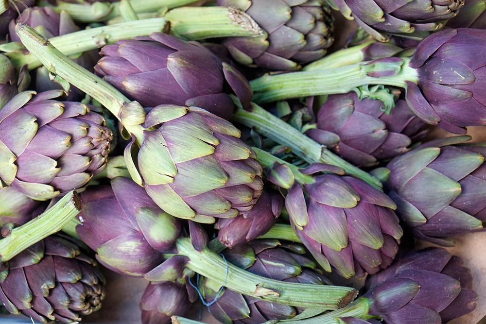 Palermo, Sicily. Artichokes for sale at the Ballaro market